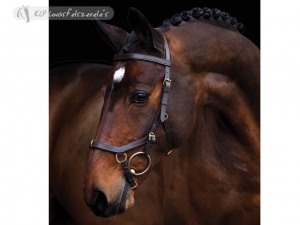 Rambo Micklem Multi Bridle