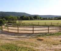 Uncovered Lunge Ring Uncovered Lunge Ring