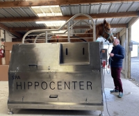 Balbeotherapy For Horses Balbeotherapy For Horses