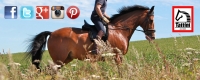 Follow Tattini Riding