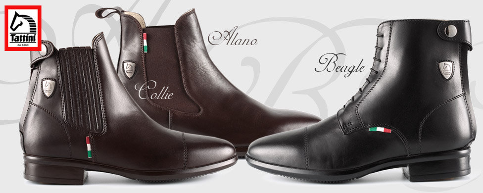 Renewed Tattini riding shoe collection