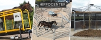 Hippocenter