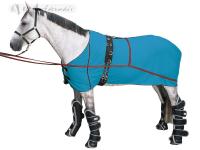 Horse Tack