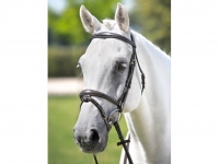 Tattini Headstall Shaped Stiched Eco Rubber Reins