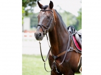 Tattini Breastplate With Martingale 5 Points Elastic Eco