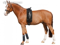 Vaulting Roller For Smaller Horses