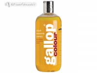 Gallop Colour - Chestnut & Palomino (500Ml)