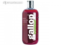 Gallop Colour - Bay (500Ml)