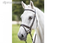 Daslo Snaffle Bridle Padded Patent Leather