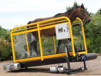 Hippocenter Lójártató Futószalagos Hippotrainer+ Festett 380 V