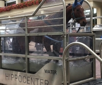 Hippocenter Lójártató Futószalagos Protrainer Vizi 380 V