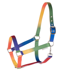 Multicolour Halter For Small Horses