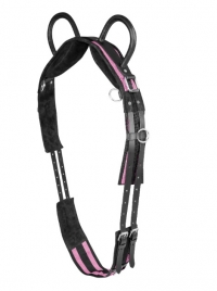 Surcingle With Two Handles