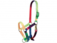 Multicolour Halter For Small Horses Foal
