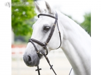 Daslo Bridle Shaped With Rubber Reins