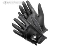 Riding Gloves