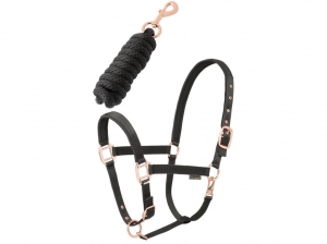 Daslo Gold Nylon Halter+Lead Rope