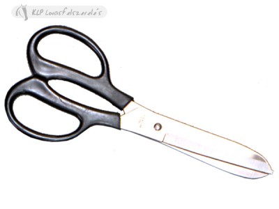 Trimming Scissors