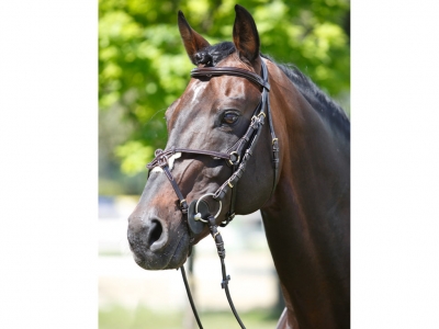 Tattini Headstall Crossed Patent Eco Rubber Reins