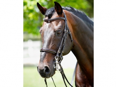 Tattini Bridle Curb/snaffle Patent Eco Double Reins