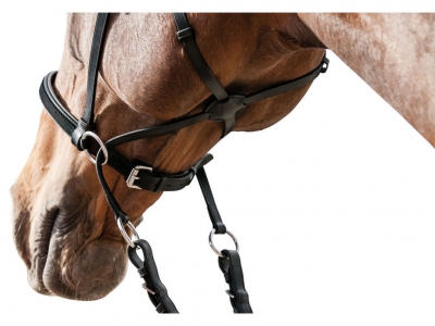 Horse-Friends Bitless Bridle