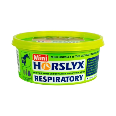 Horslyx Respiratory 650G
