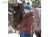 Horseware Ladies Padded Jacket Maya