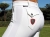 Tattini Lady Professional Breeches