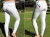 Tattini Lady Professional Breeches