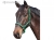 Halter With Rhinestones And Leadrope