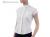 Tattini Ladies Short Sleeved Stock Shirt