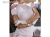 Tattni Ladies Show Shirt With Rhinestones On Collar