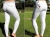 Tattini Ladies Professional Breeches With Non-Slip Knee Patch