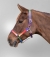 Multicolour Halter For Small Horses 1 Multicolour Halter For Small Horses