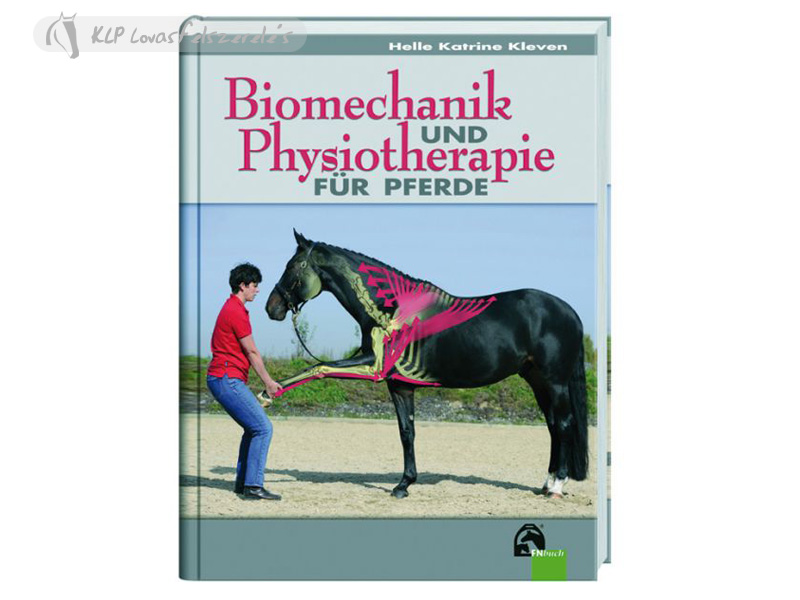 Fizikoterápia