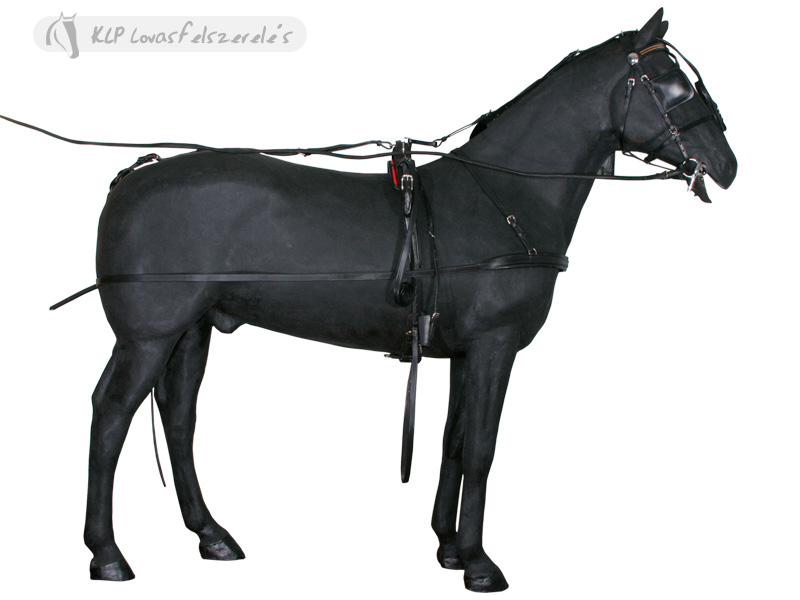 Trotting Harness Pony