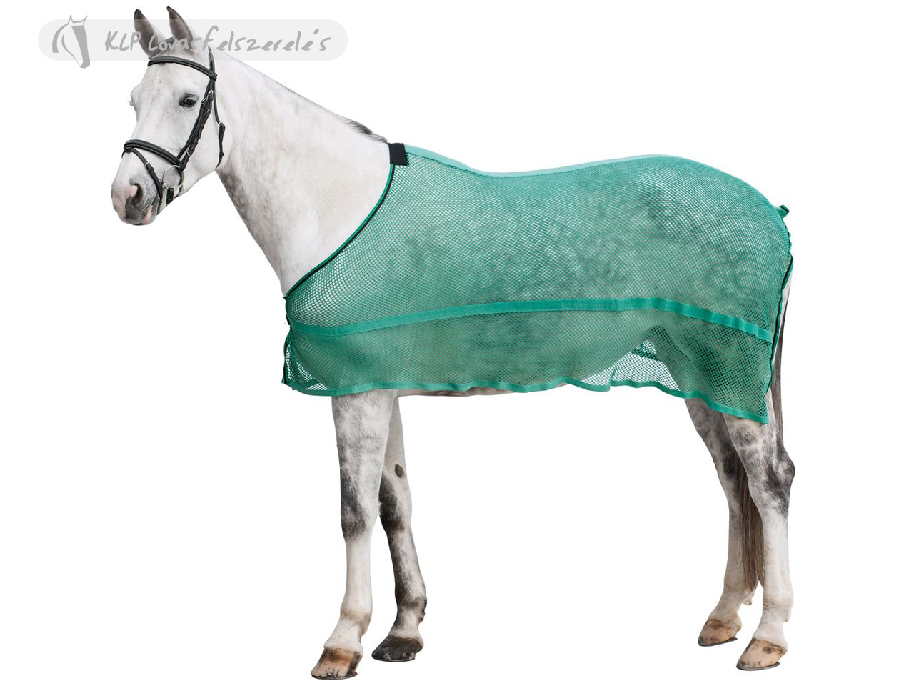 Anti Fly Rug With Broad Belly Flap Tattini Riding