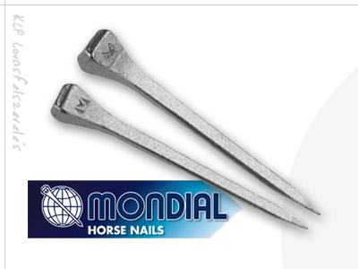 Nail For Horseshoe Mondial Jc 3