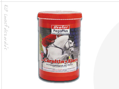 Tápkiegészítő Vas + L-Carnitin Pegaplus