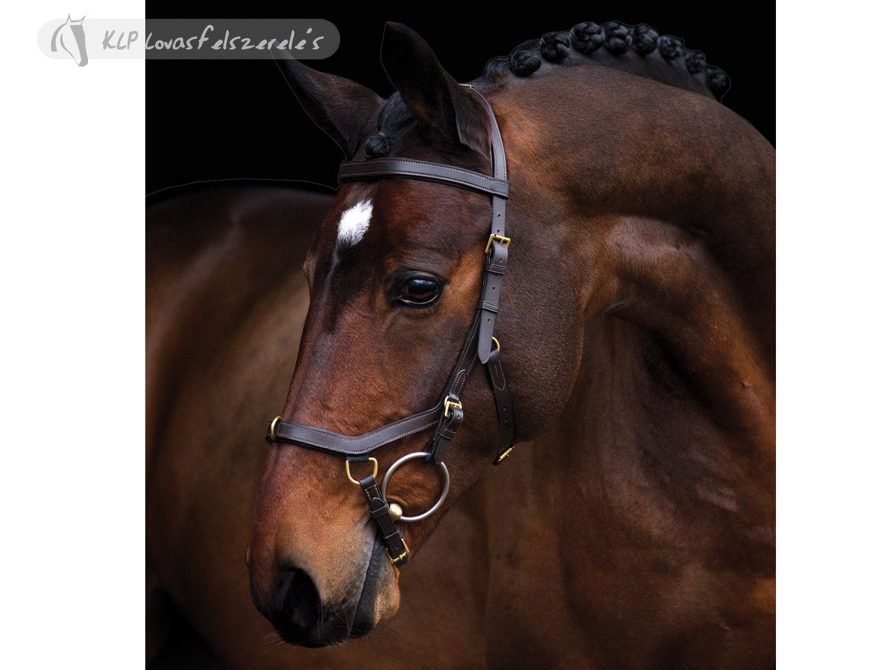 Rambo Micklem Multi Bridle