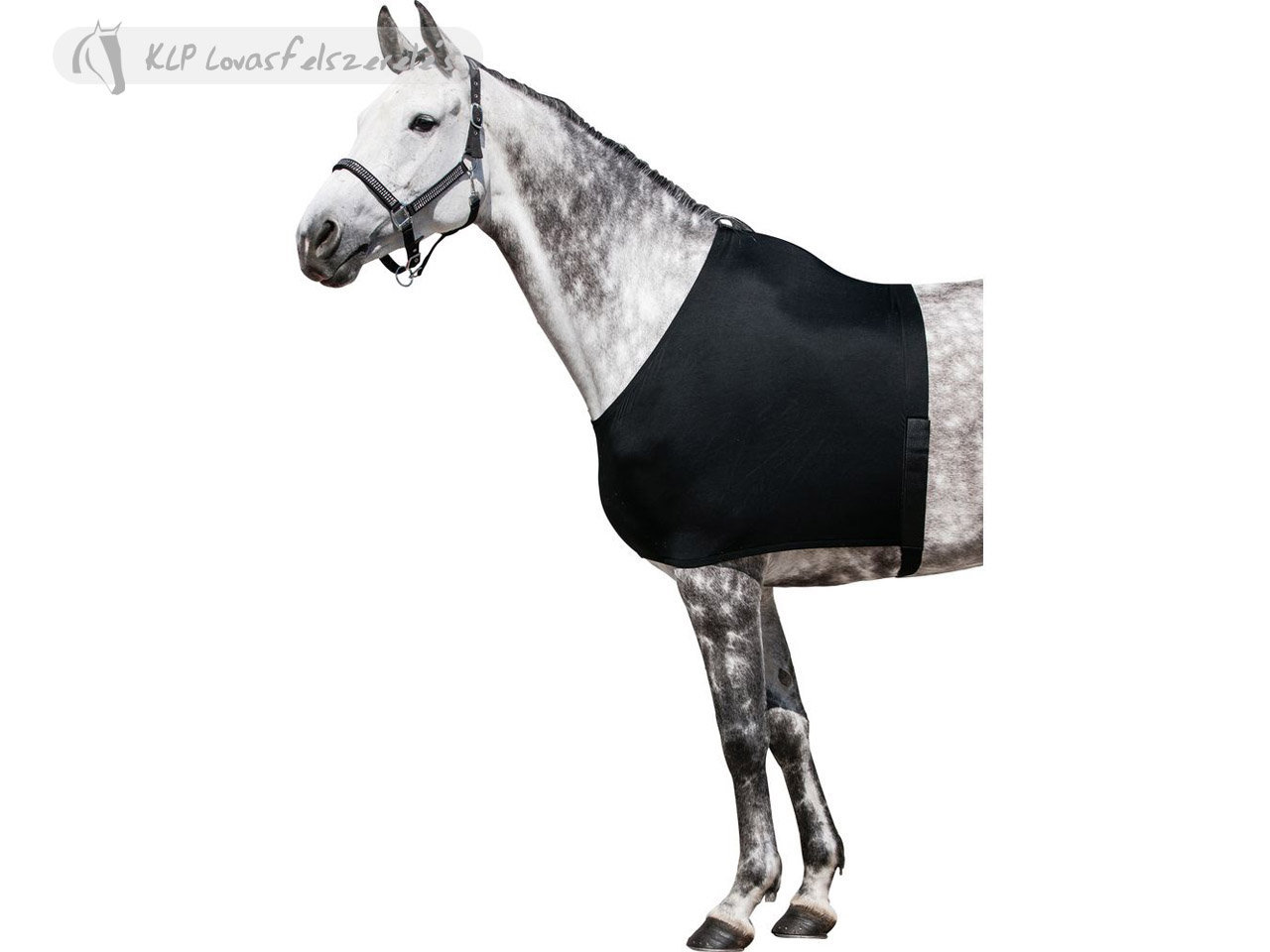 Takaró Alá Szügyvédő