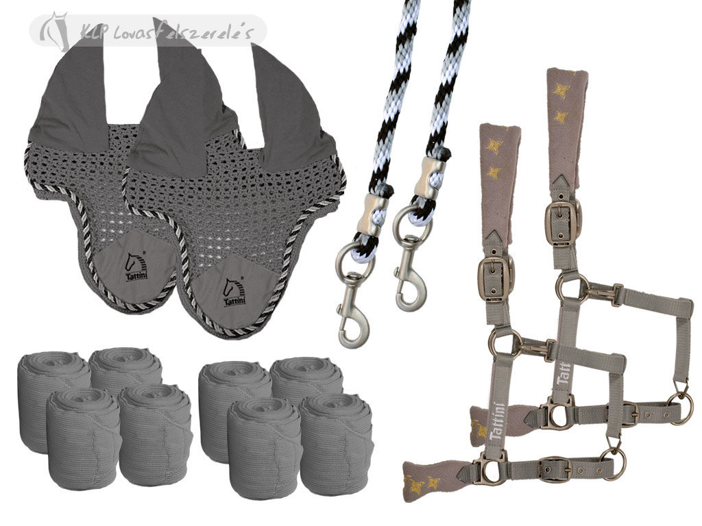 Two-In-Hand Driving Set