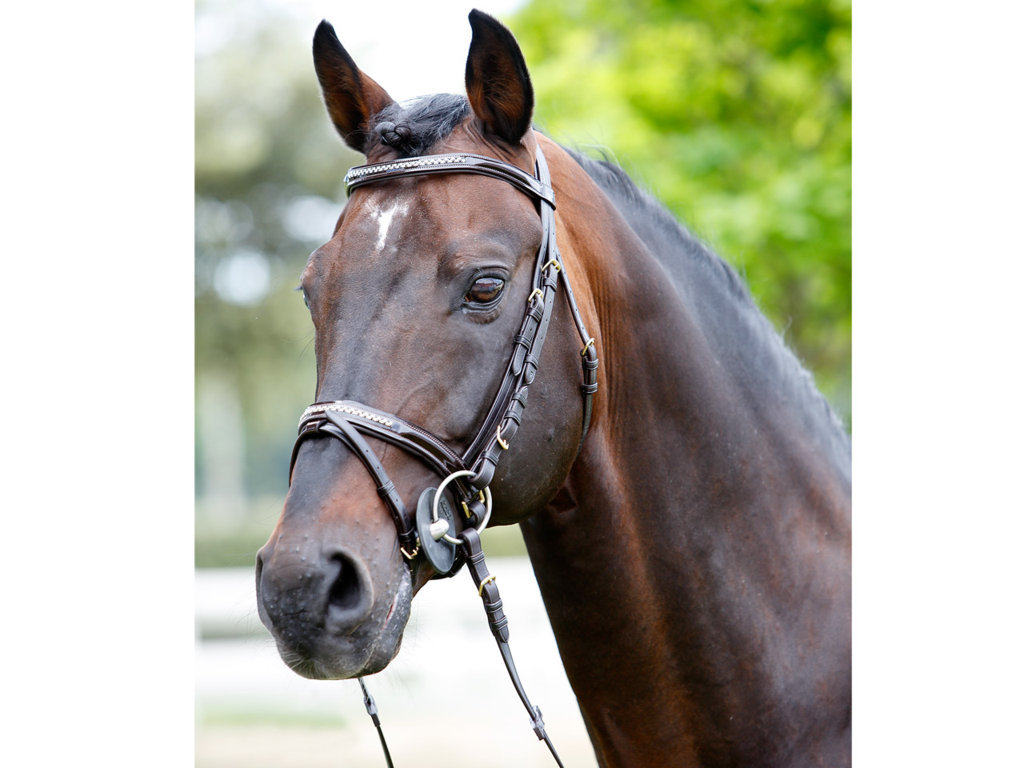 Tattini Headstall With Rhinestones Patent Eco Rubber Reins