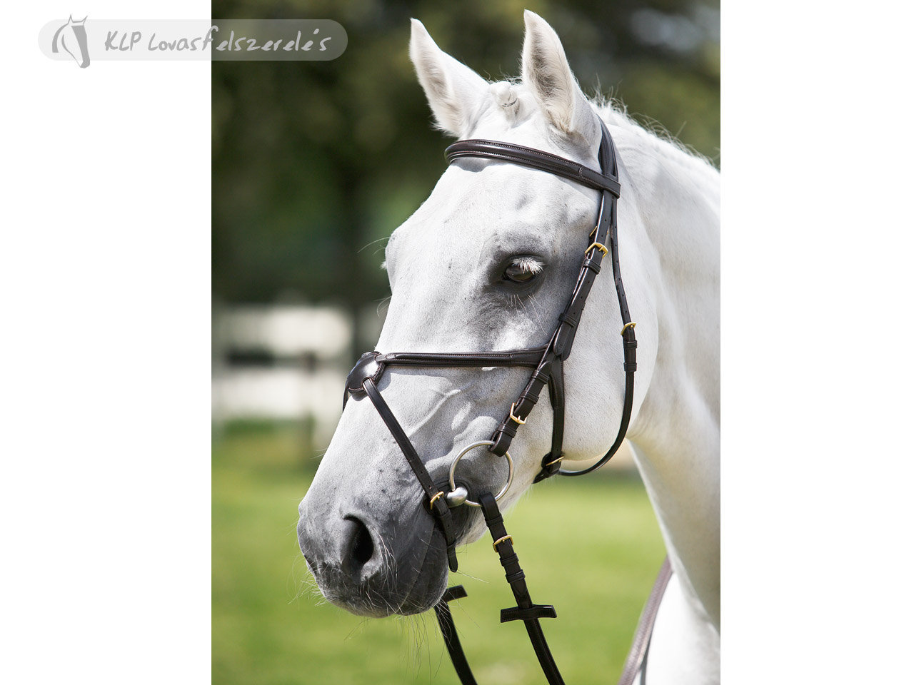 Tattini Headstall Crossed Raised Eco Rubber Reins