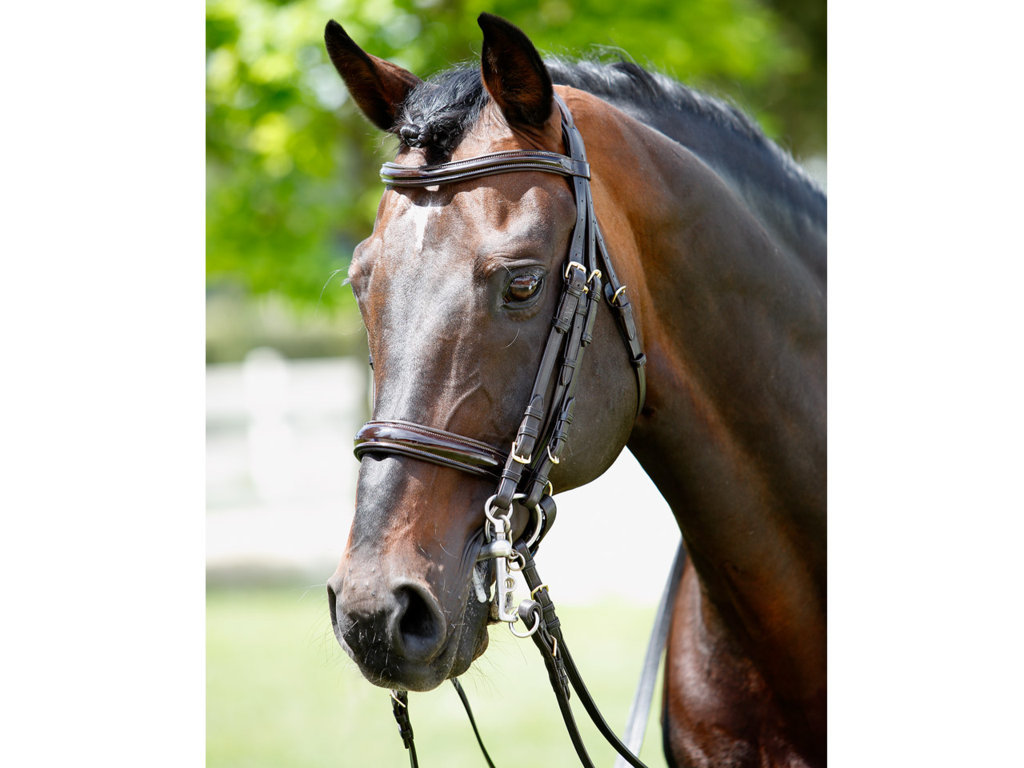 Tattini Bridle Curb/snaffle Patent Eco Double Reins