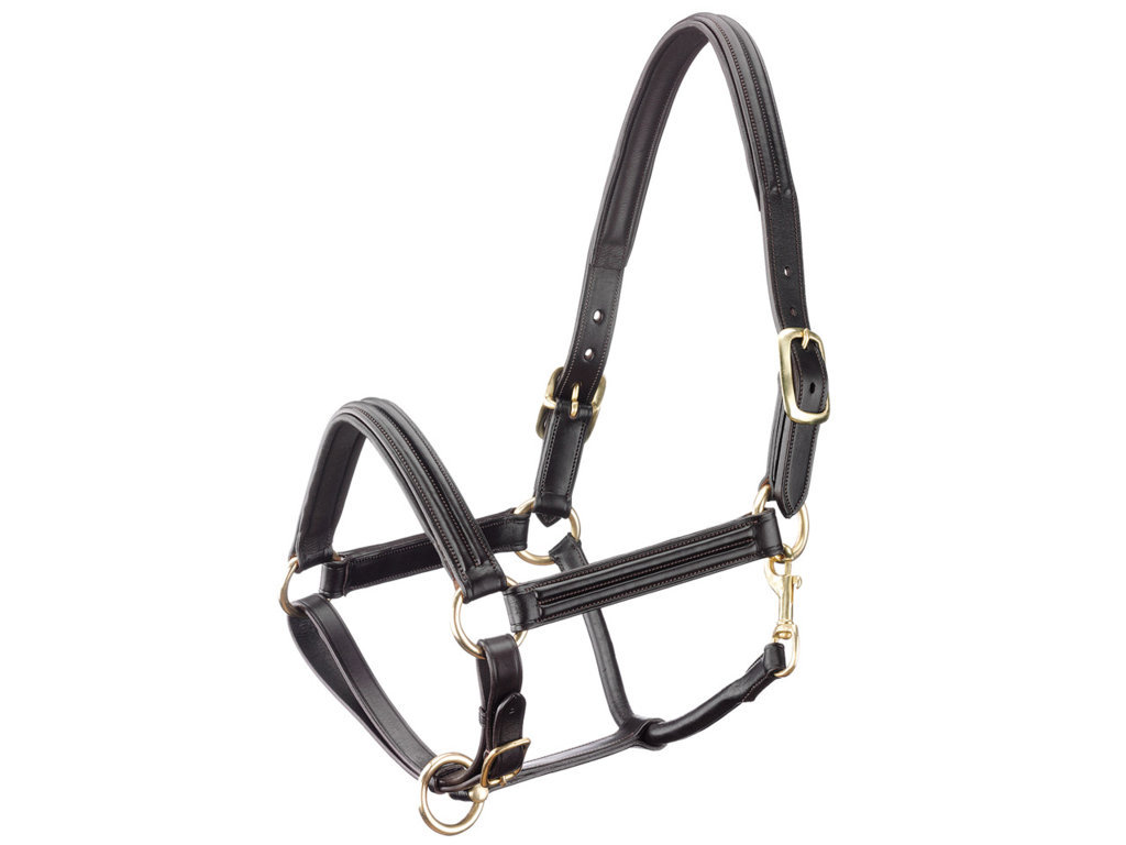 Tattini Leather Halter Double Padded Eco