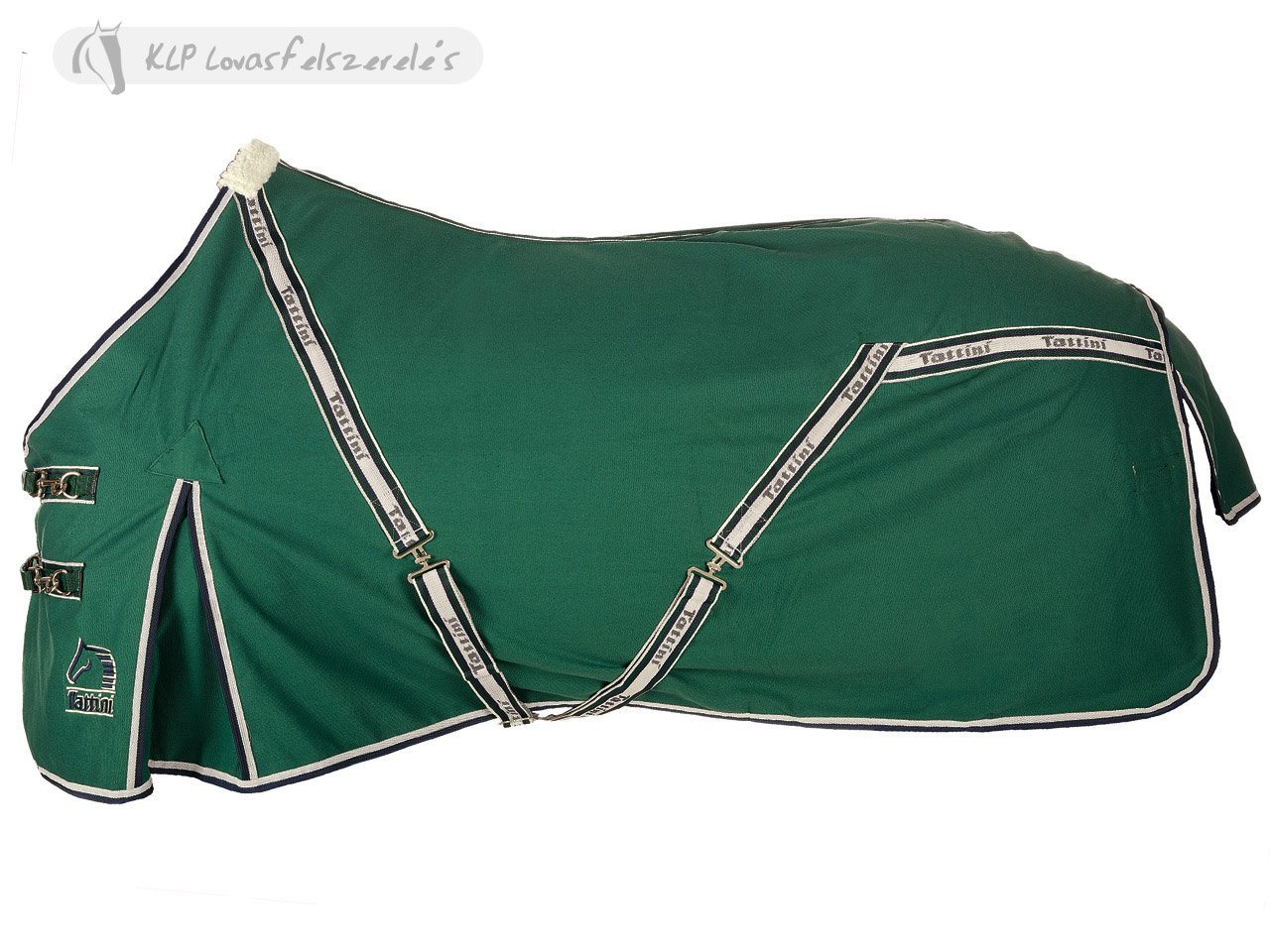 Tattini Canvas Rug With Gussets Green