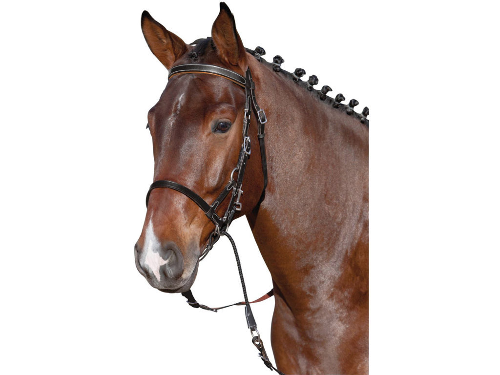 Horse-Friends Bitless Bridle Plus