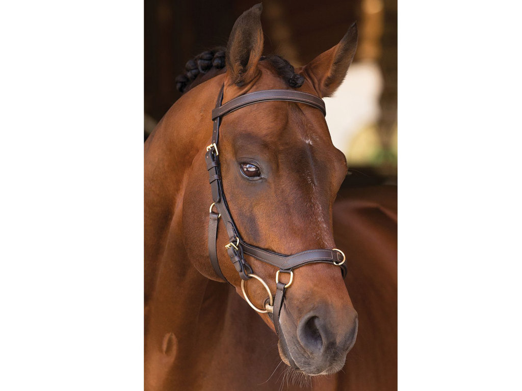 Horseware Rambo Micklem Multi-Bridle