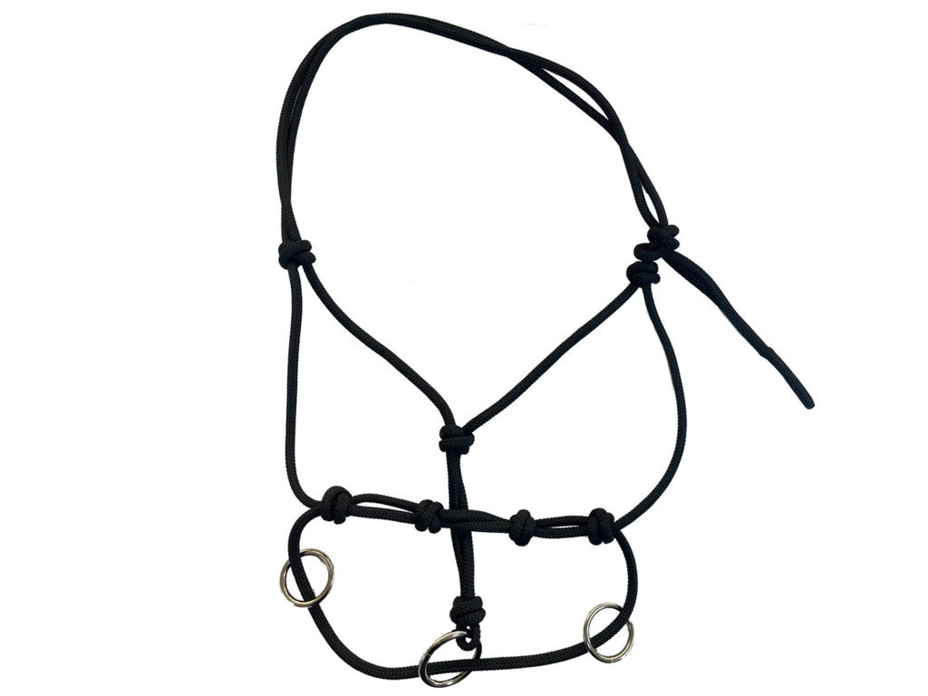 Training Halter - Tattini Riding